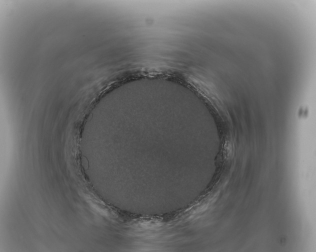 X0000093740865200710231209
