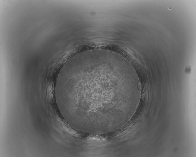 X0000093740866200710231209