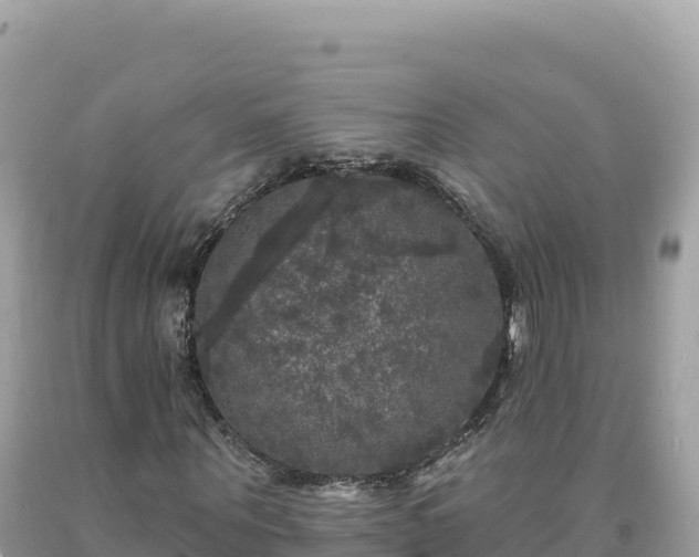 X0000093740867200710231209