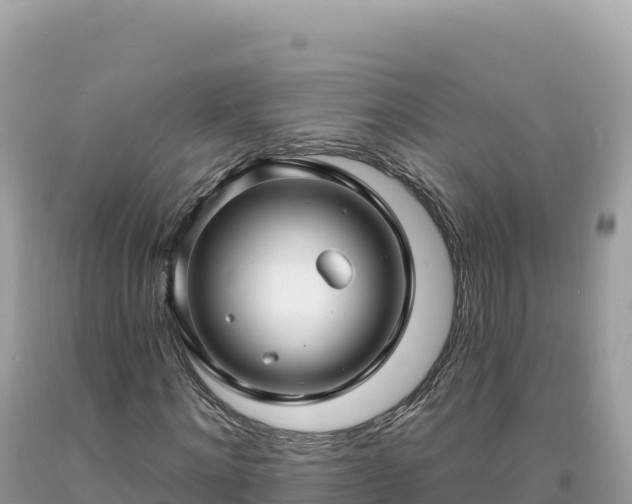 X0000093740868200710231209