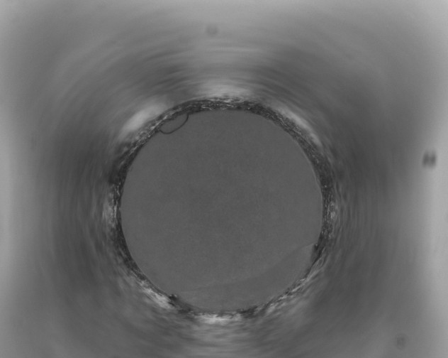 X0000093740869200710231209