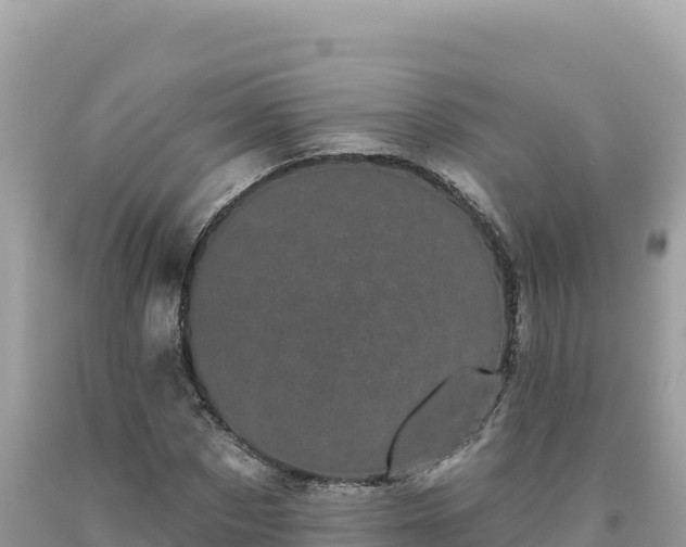 X0000093740873200710231209
