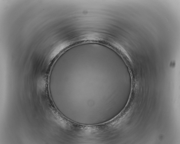 X0000093740874200710231209