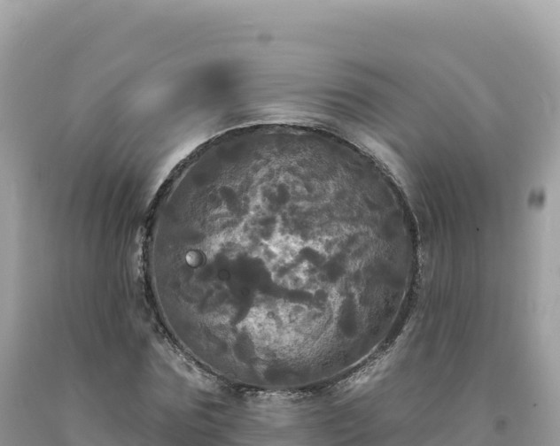 X0000093740875200710231209
