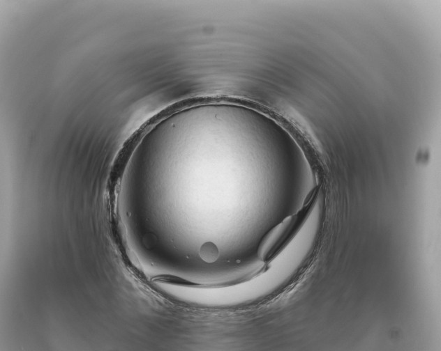 X0000093740876200710231209