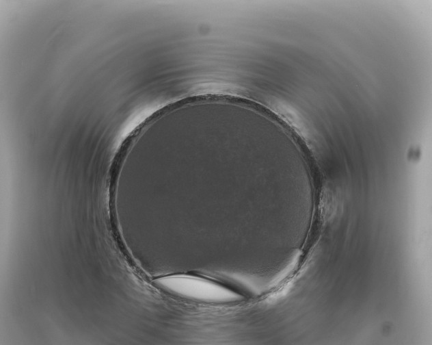 X0000093740877200710231209