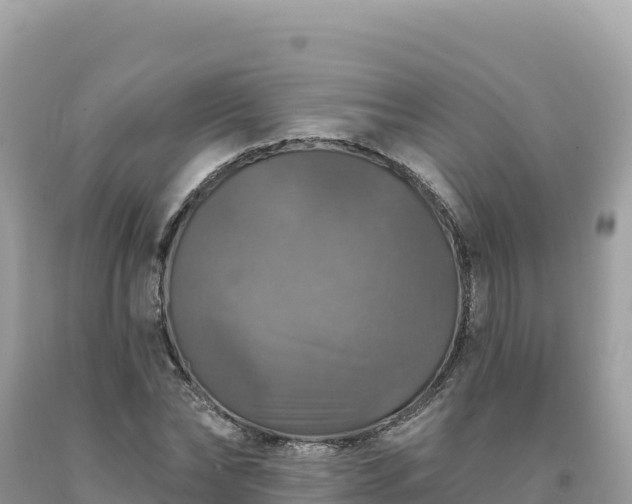 X0000093740878200710231209
