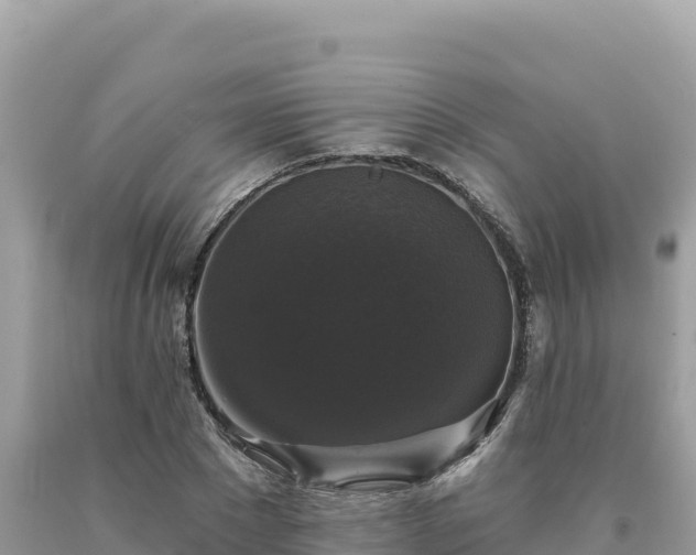 X0000093740881200710231209