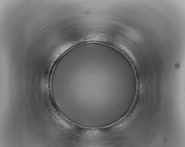 X0000093740882200710231209