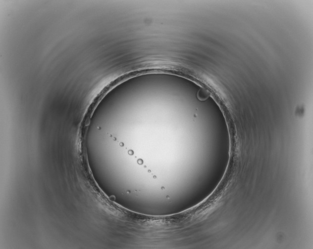 X0000093740883200710231209