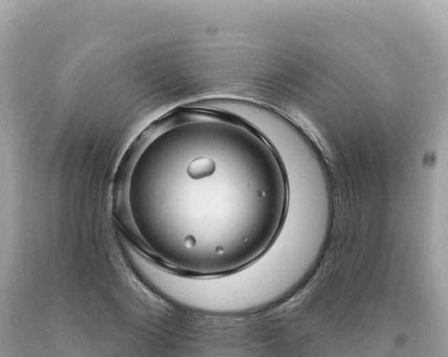 X0000093740884200710231209