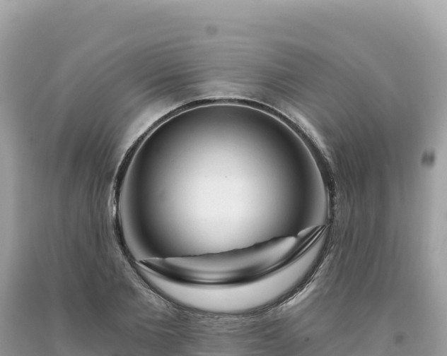 X0000093740885200710231209