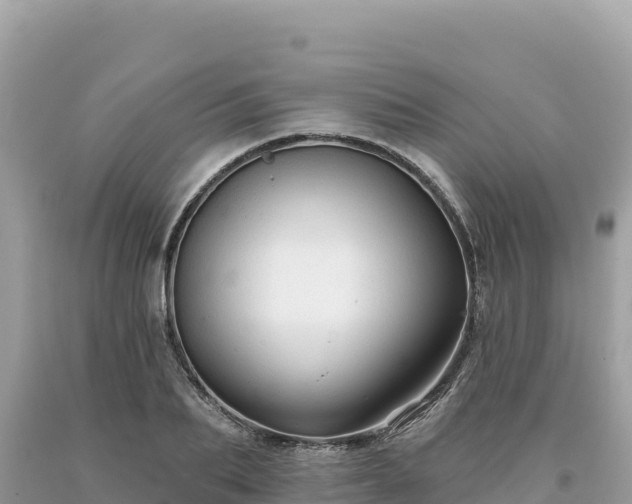 X0000093740887200710231209
