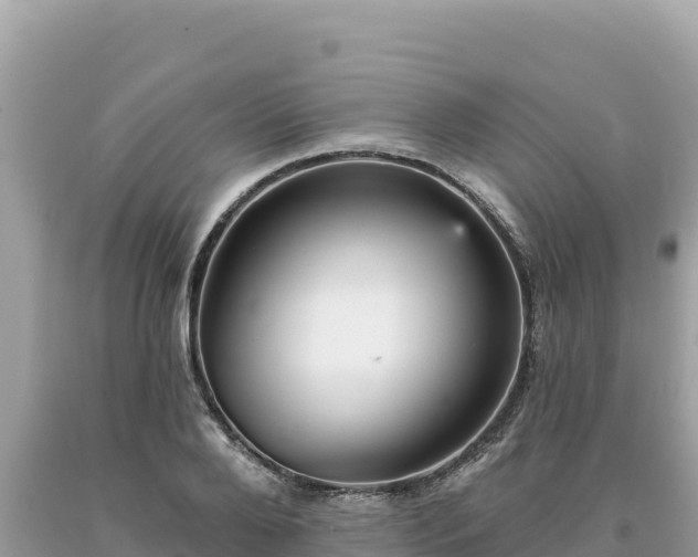 X0000093740888200710231209