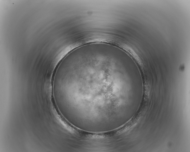 X0000093740890200710231209