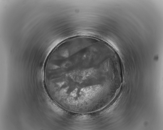 X0000093740891200710231209