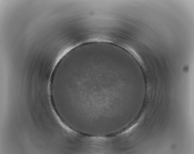 X0000093740893200710231209