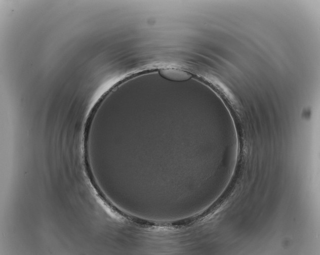 X0000093740894200710231209