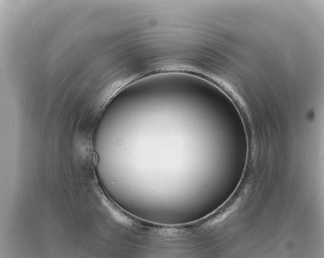 X0000093740897200710231209