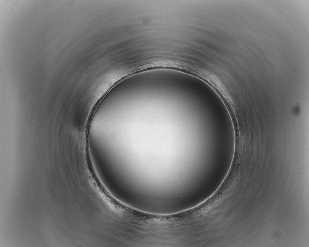 X0000093740898200710231209