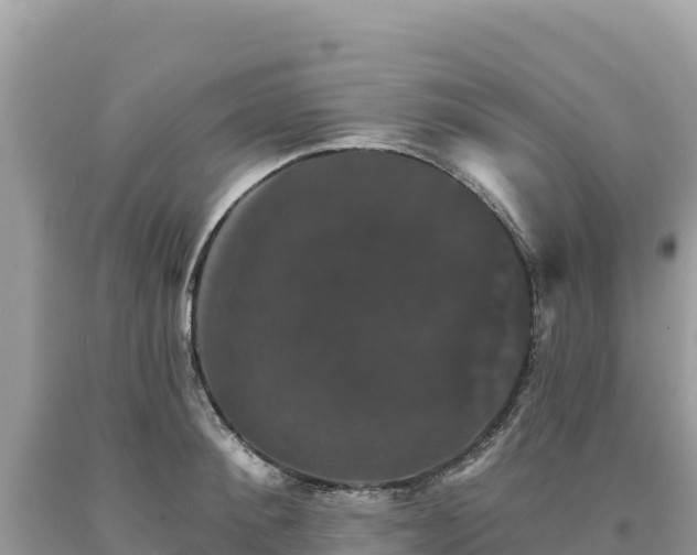 X0000093740900200710231209