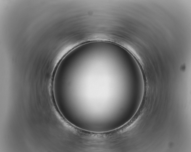 X0000093740901200710231209