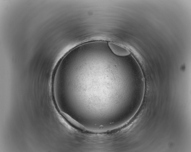 X0000093740902200710231209