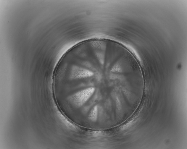 X0000093740903200710231209