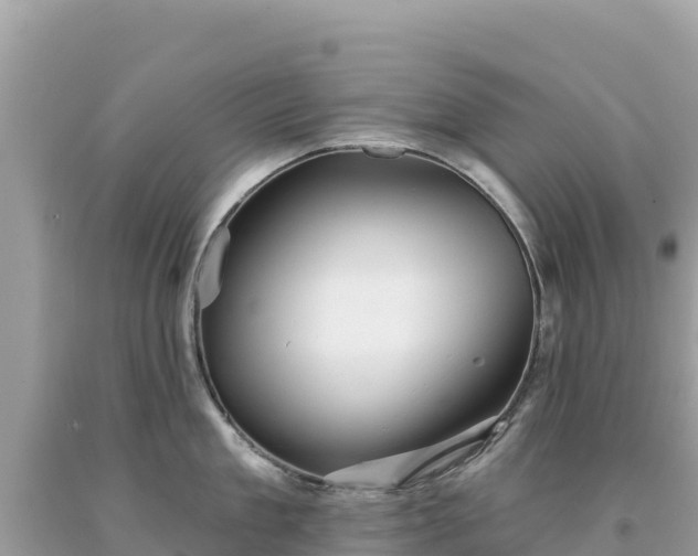 X0000093740909200710231209