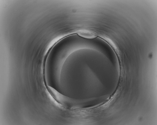 X0000093740910200710231209