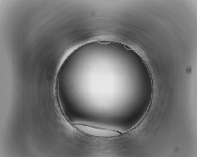 X0000093740912200710231209
