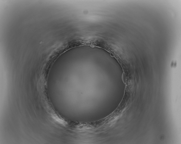 X0000093740913200710231208