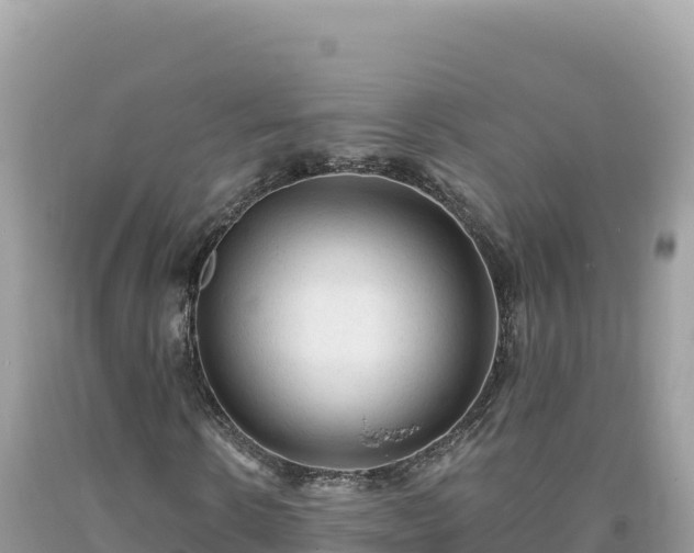 X0000093740914200710231208