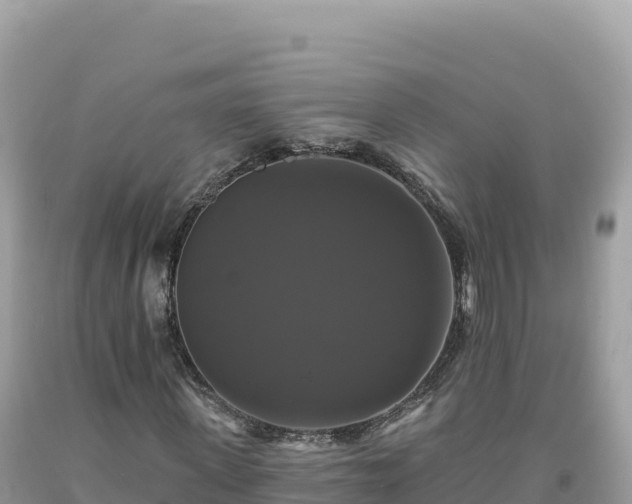 X0000093740915200710231208
