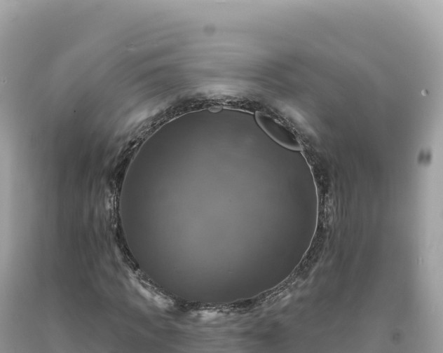 X0000093740917200710231208