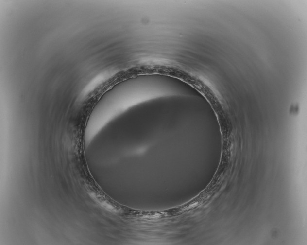 X0000093740919200710231208
