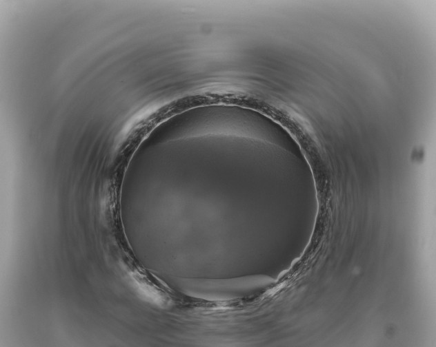 X0000093740920200710231208