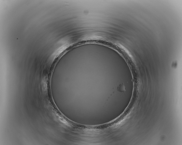 X0000093740921200710231208