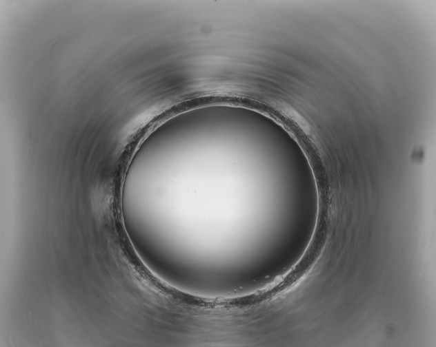 X0000093740922200710231208
