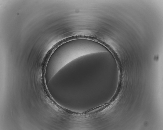 X0000093740923200710231208