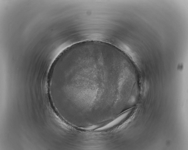 X0000093740924200710231208
