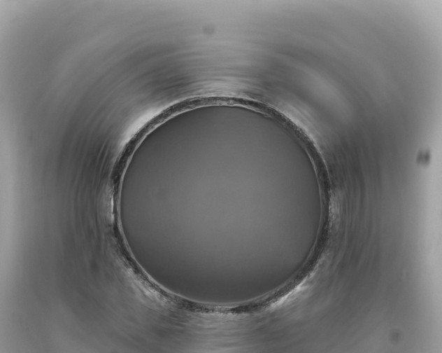 X0000093740925200710231208