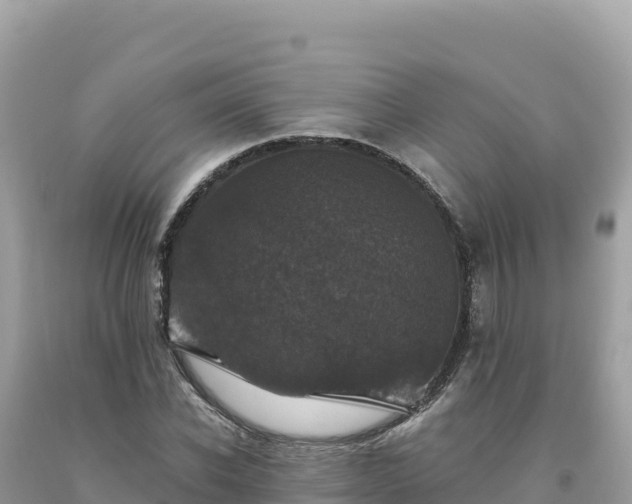 X0000093740926200710231208