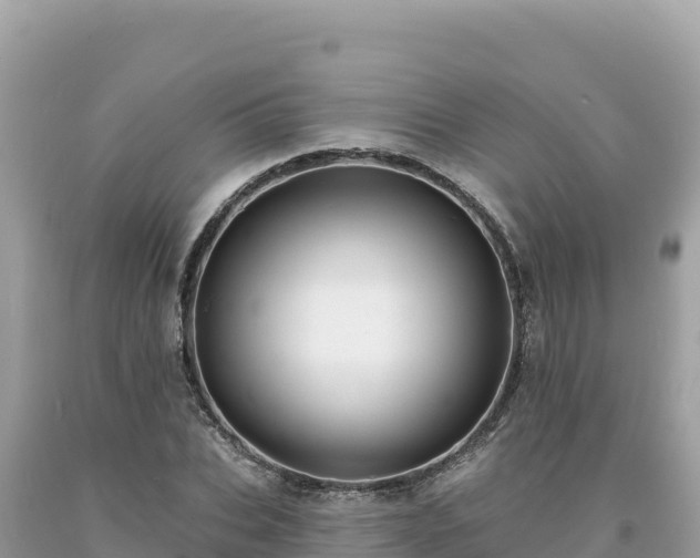 X0000093740927200710231208