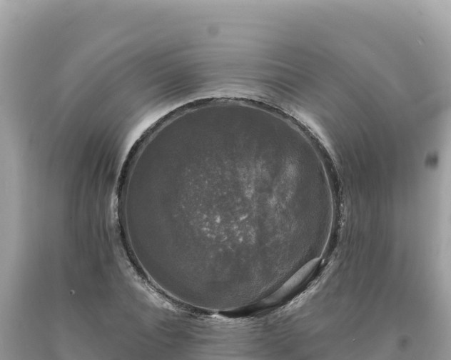 X0000093740928200710231208