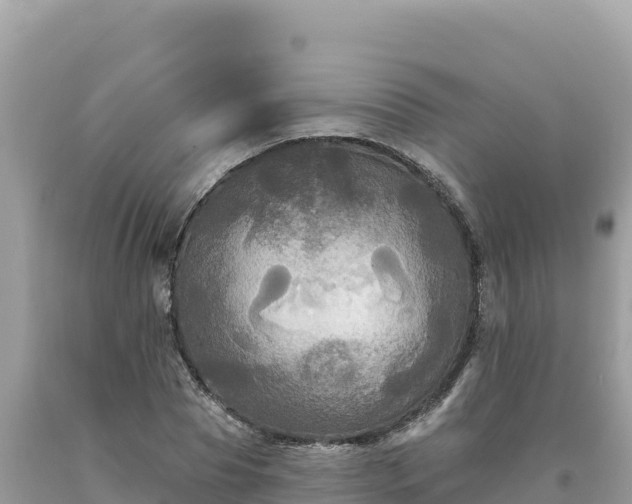X0000093740929200710231208