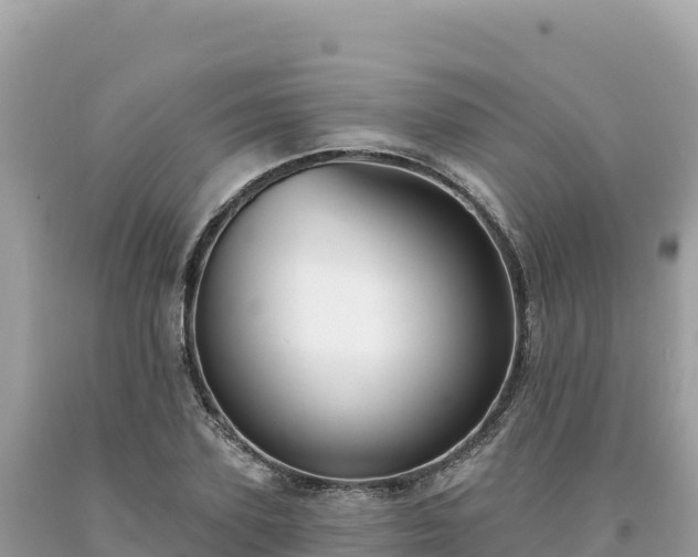 X0000093740931200710231208