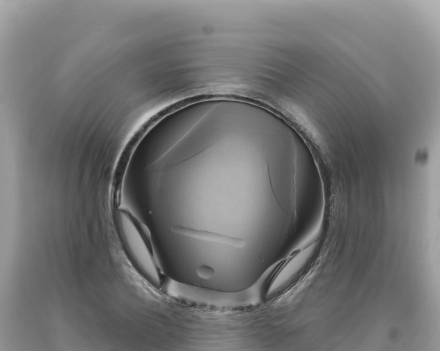 X0000093740932200710231208