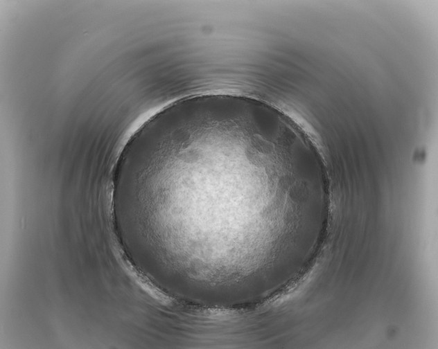 X0000093740933200710231208