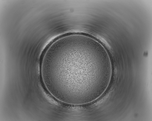 X0000093740934200710231208